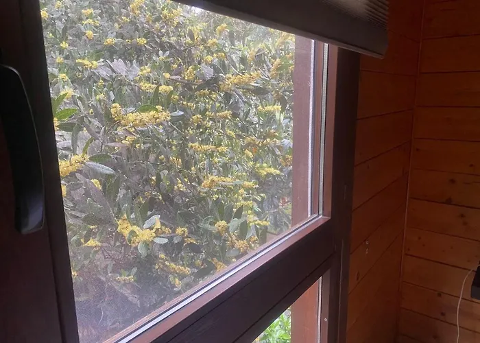 Refugio cálido,estilo nórdico el Bosquet