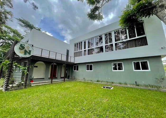 Perros hoteles Finca San Nicolas