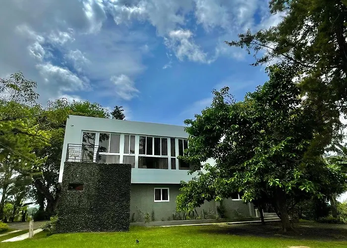 Perros hoteles Finca San Nicolas