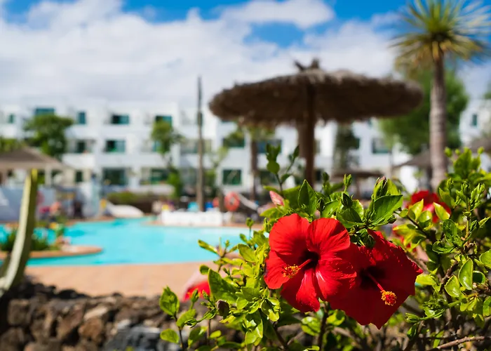 Galeon Playa By Seasense