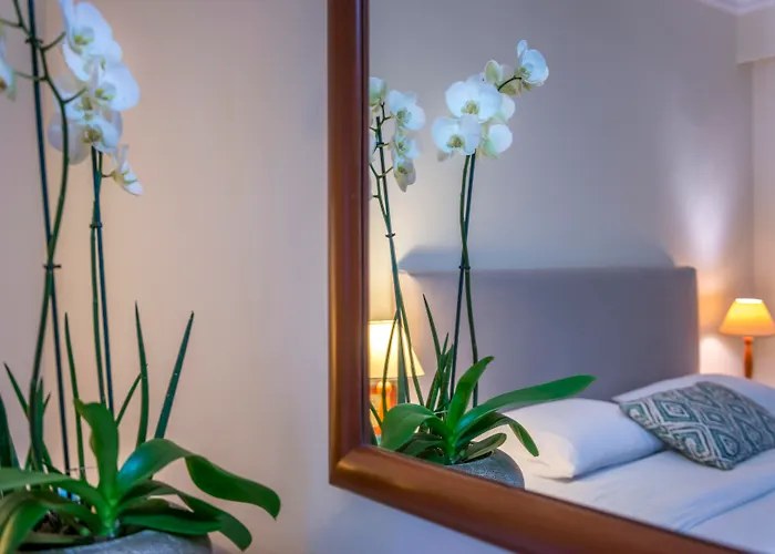 Hôtel de plage: Mitsis La Vita