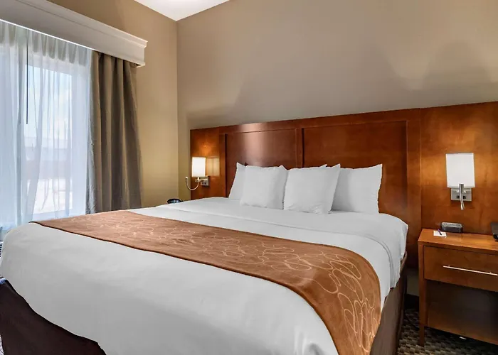 Luxury hotel only: Comfort Suites Near Texas A&M - Corpus Christi