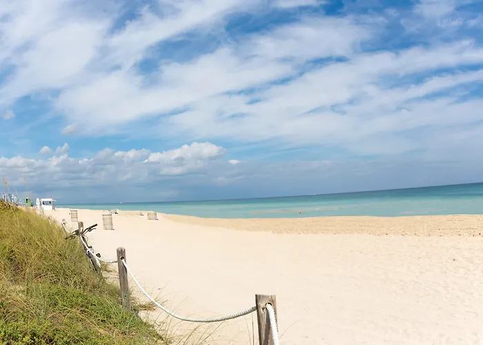 Pet Friendly hotel: Broadmore Miami Beach