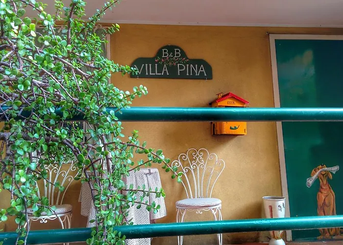  Pina