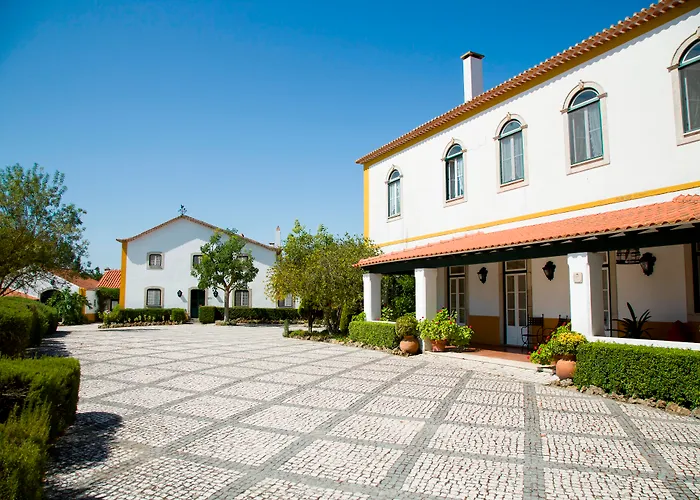 Casa D