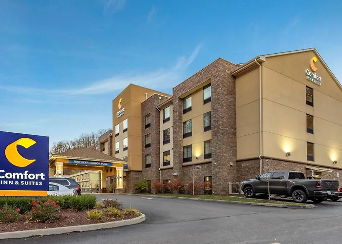 Pet Friendly hotel: Comfort Inn & Suites Pittsburgh South