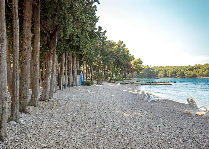 Bluesun Villa Vela Luka