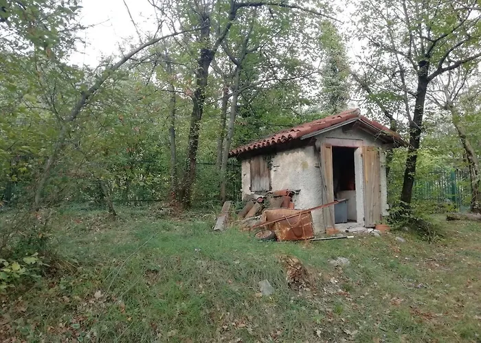 La casetta nel bosco
