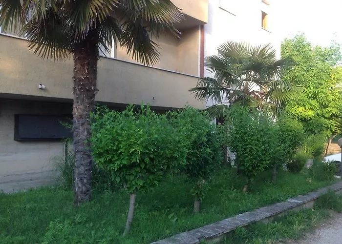 Il Giardino Del Gallo