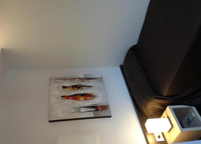 Apartaments I Habitacions Can Morera Olot