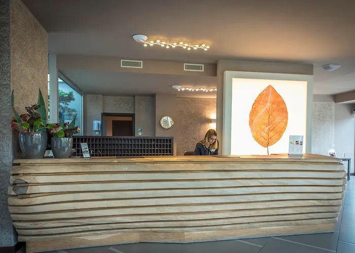 Family Hotel: Aqualux Hotel Spa Suite & Terme