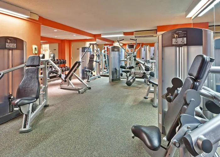 Crowne Plaza Chicago O'Hare Hotel & Conference Center By Ihg