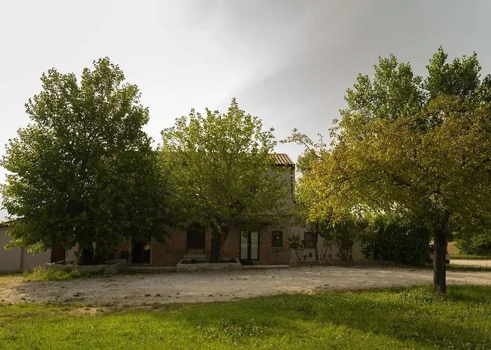 Tenuta I Gelsi