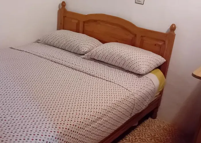 Hotel que admite mascotas: Moroccan Dream Hostel