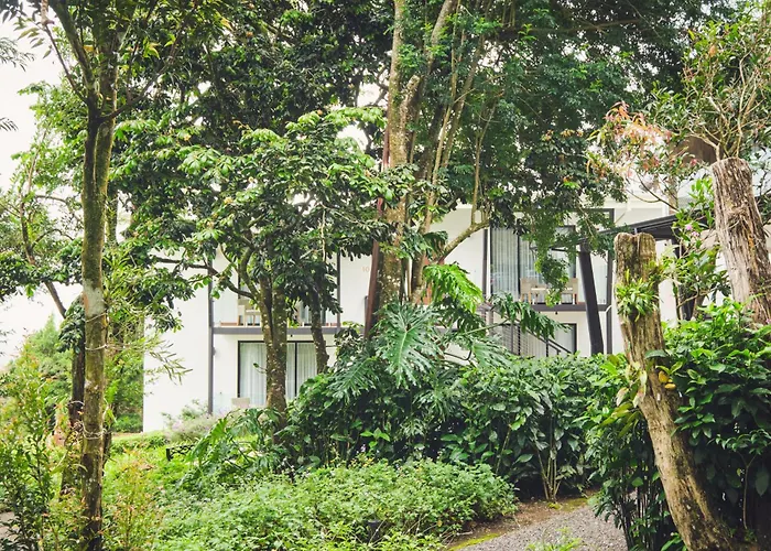 Ocotea Boutique Hotel