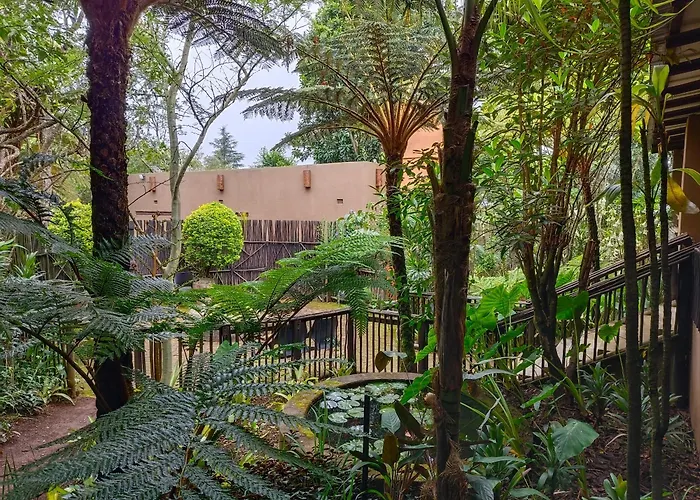 Dar Amane Guest House