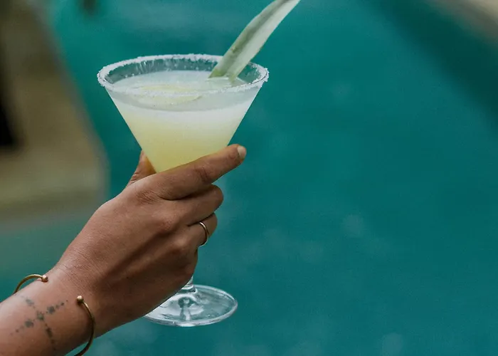 Hôtel accueillant les animaux: Copal Tulum Hotel