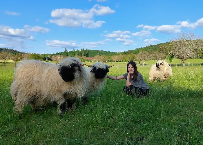 Ferme des petites oreilles Lascaux