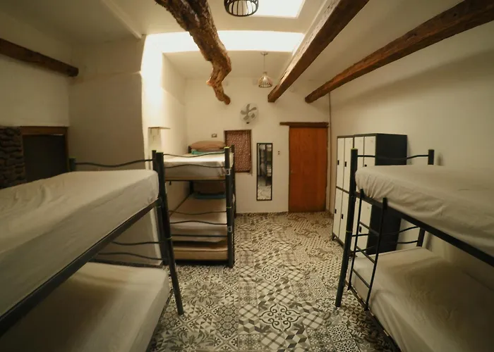 Rey Lagarto Hostel