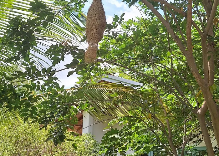 Kandalama