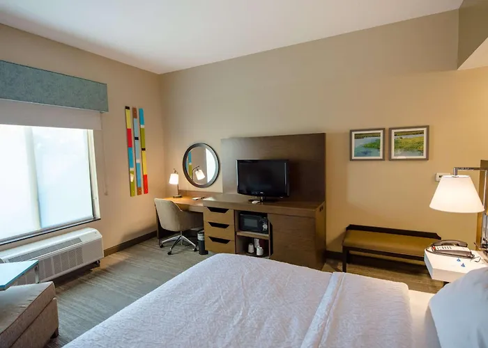 Pets Allowed Hotel Hampton Inn & Suites Port Arthur