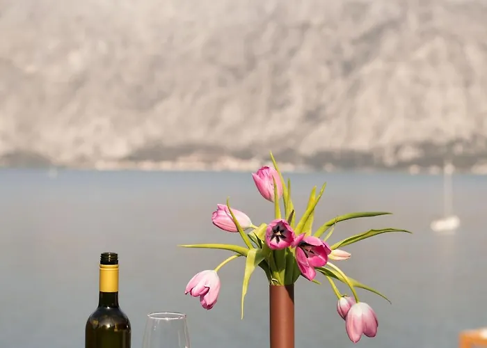 Apartment: Step To Kotor Bay St-Oliv