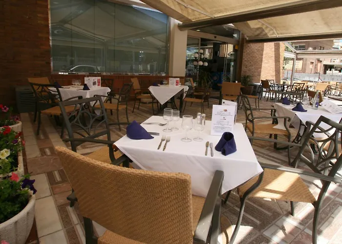 Animaux admis Castilla Alicante