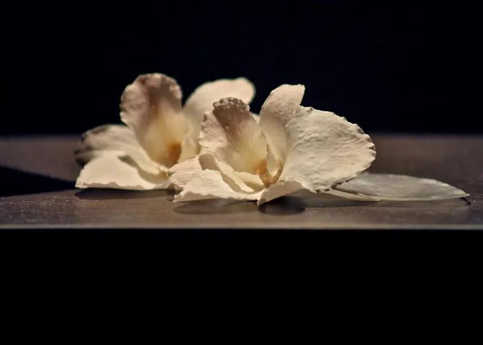 & Spa Waldecker Hof
