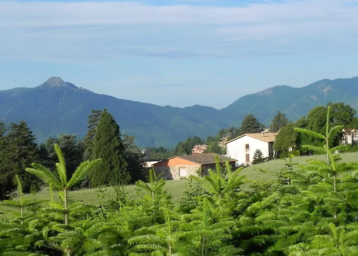  Ripoll