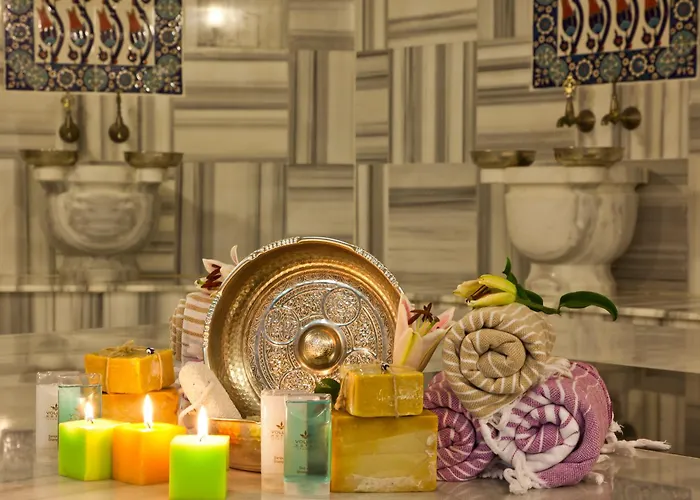 In Luxury hotels Volley Istanbul