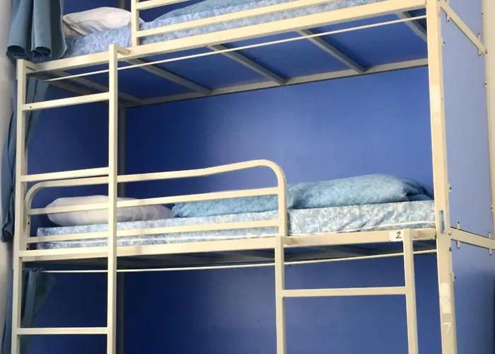 Hôtel accueillant les animaux: Brighton Beach Inn Hostel