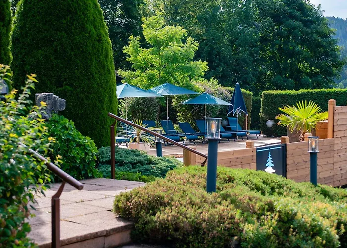 Hotel met zwembad: Hotel-Restaurant Les Bas-Rupts, Singuliers Hotel