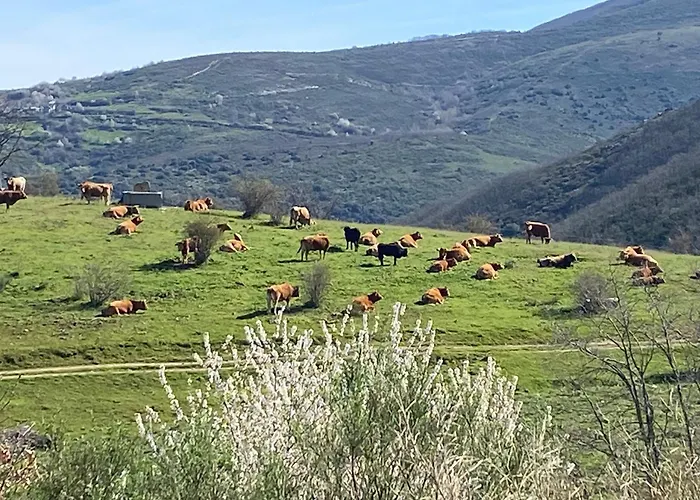 La Casita de Chocolate - Encanto Rural en Espinoso de Compludo - El Bierzo