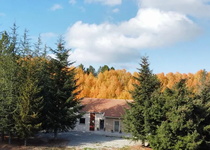 Dei Larici