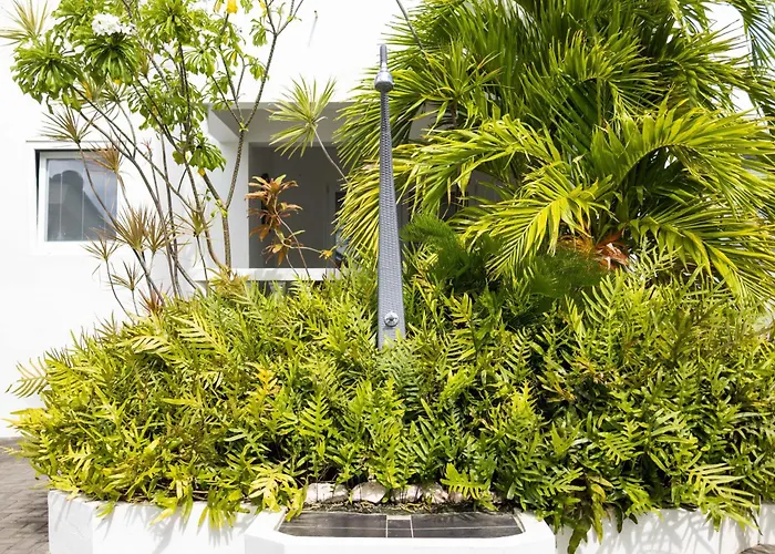 Hotel dichtbij College: Palm Crest