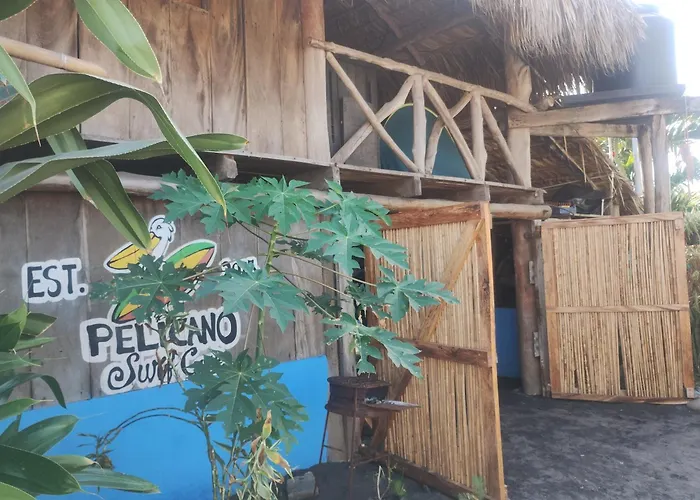 Pet Friendly hotel: Pelicano Surf Camp
