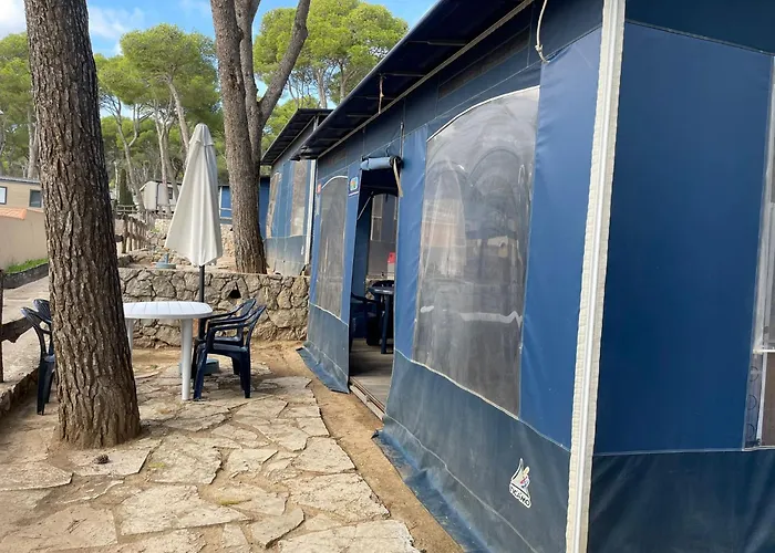 Càmping Castell Montgrí ****