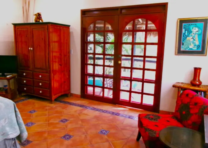 Casa Gatos