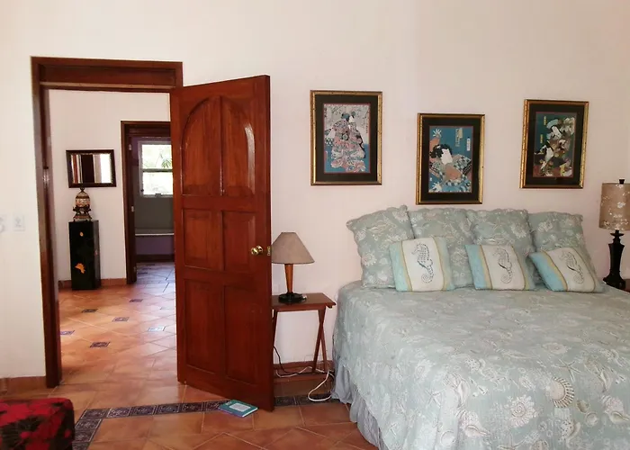 Casa Gatos