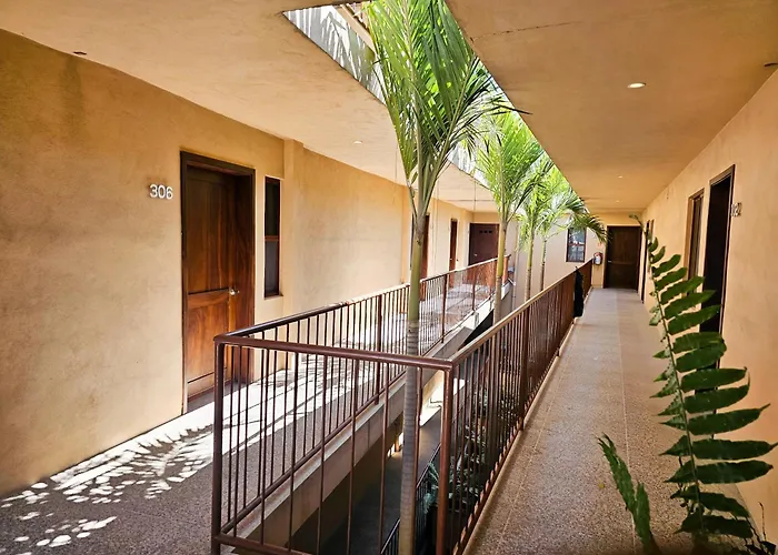 Сity center hotels Pacific Inn