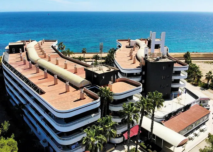Palmera