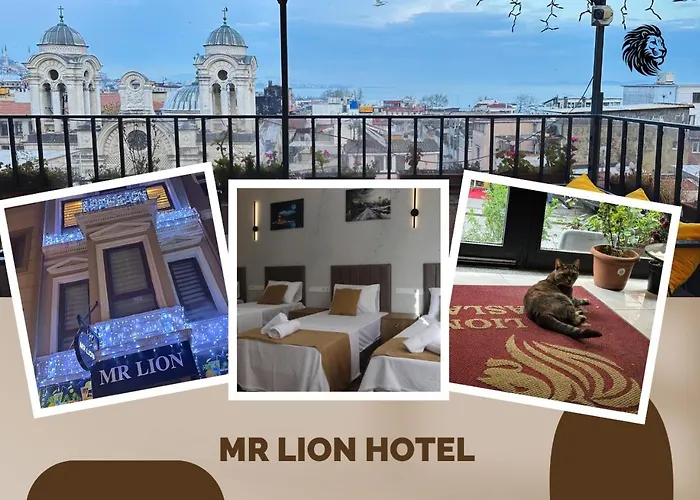Сity center hotels Mr Lion Kumkapi