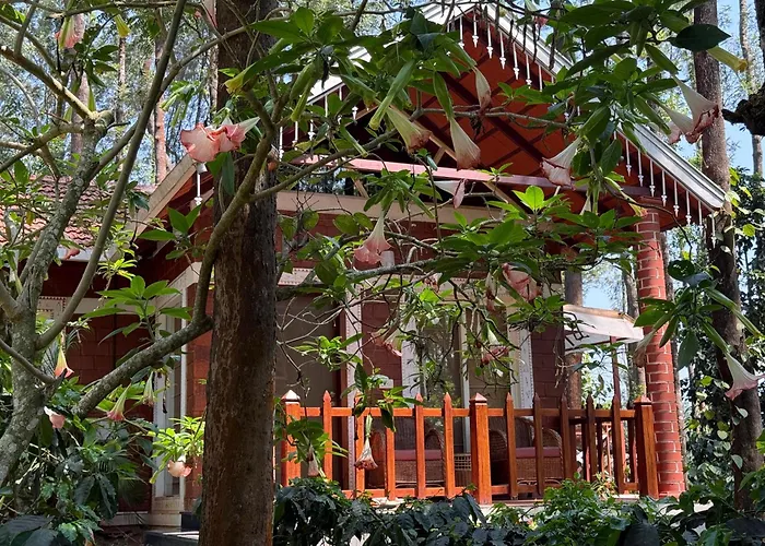 Hotels with pool Coffee Grove