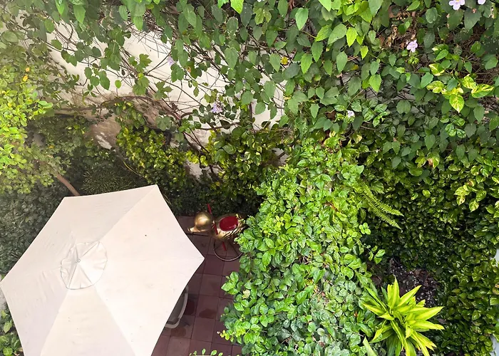 Casa Bugambilia - Alma Hotels