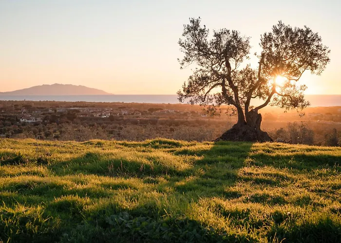 Agriturismo Podere L'Agave
