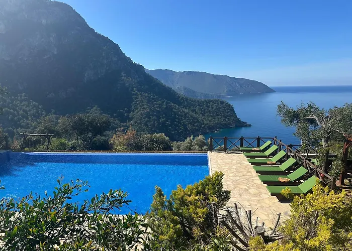  Olive Garden Kabak