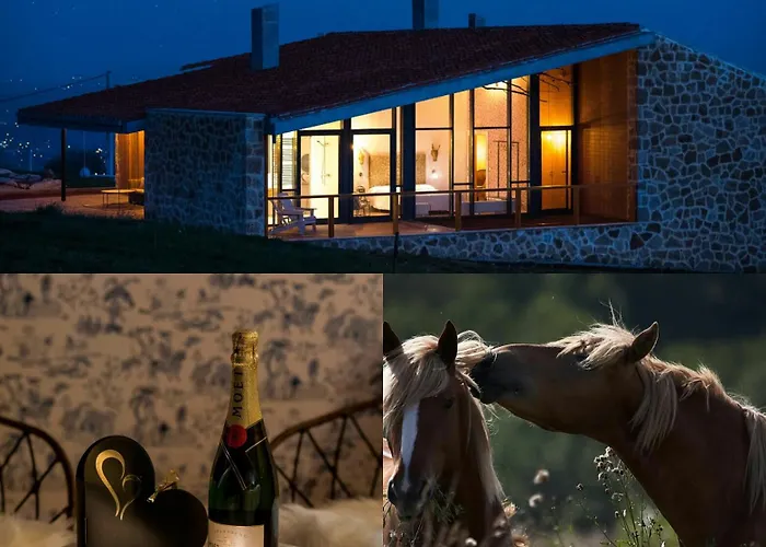 Niditas Suites&Horses