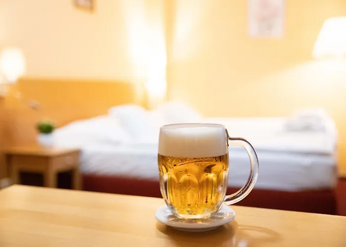 Hotel U Salzmannů