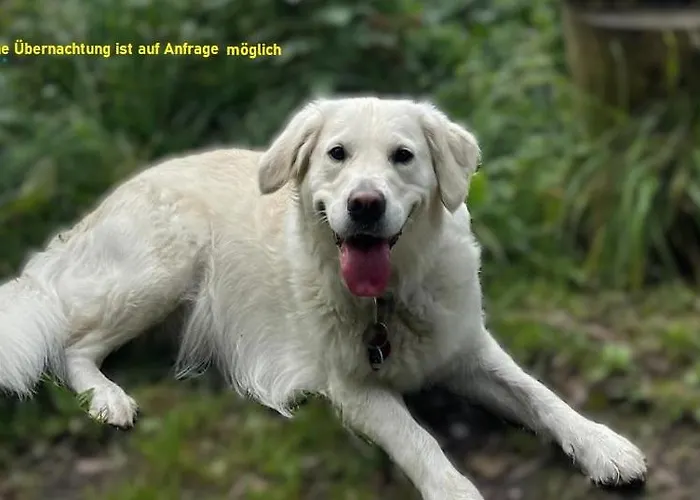 Herberg: Hostel VITA Berlin