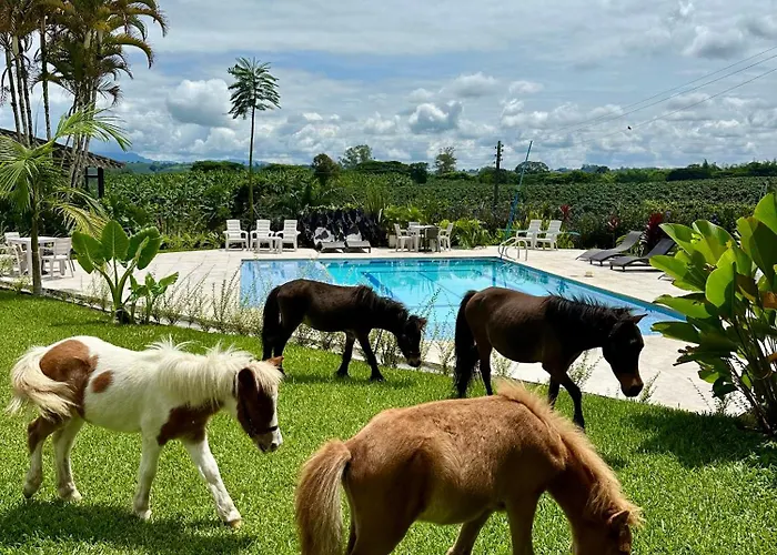 Alquiler de vacaciones: Baum Hotel